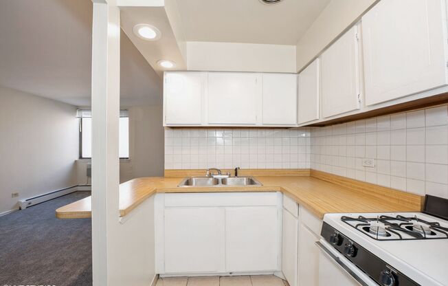Studio, 1 bath, 400 sqft, $1,395, Unit 223