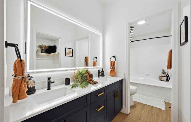A bathroom with a white sink and a mirror above it.