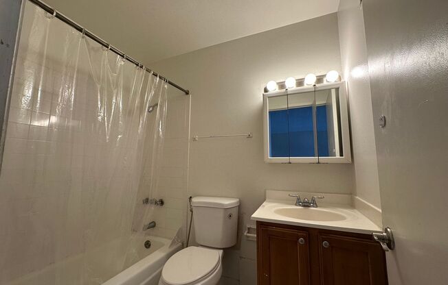 1 bed, 1 bath, $1,195, Unit 305
