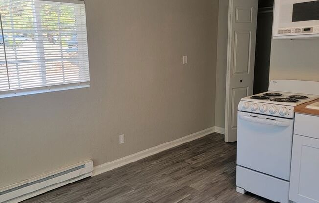 Studio, 1 bath, 300 sqft, $1,150, Unit 1120