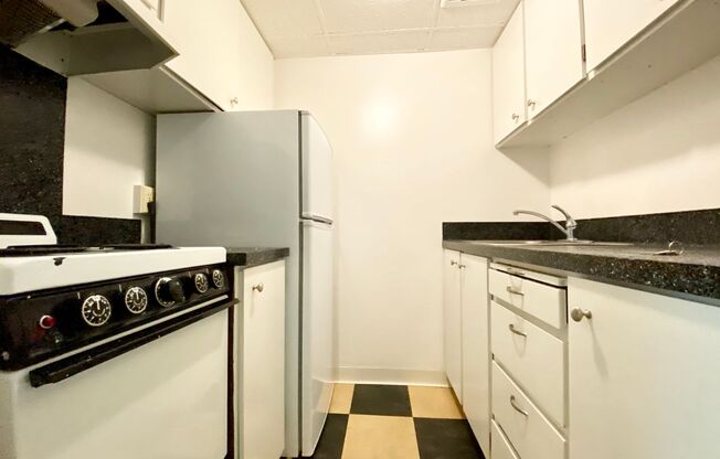 1 bed, 1 bath, 351 sqft, $1,295, Unit 505