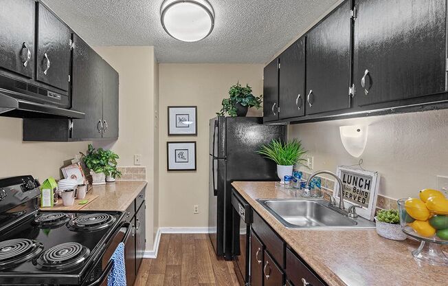 a kitchen with a stove, dishwasher and refrigerator