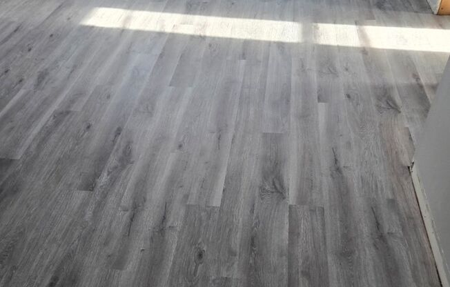 Brand new rehab luxury coach house in Albany Park