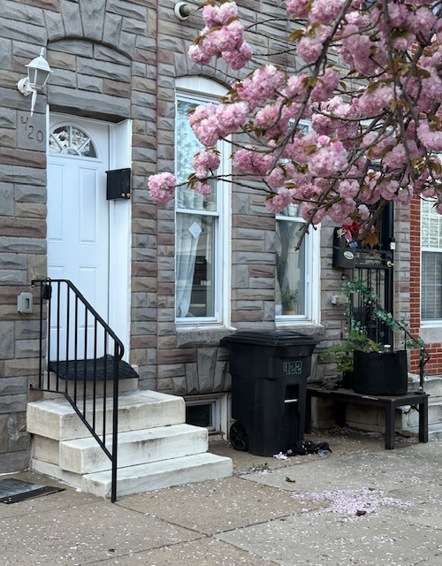 420 N COLLINGTON AVE