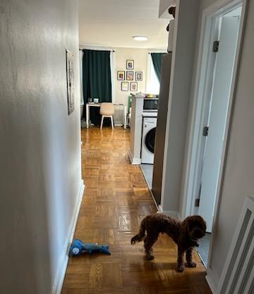 Partner-provided photo for $1250 unit