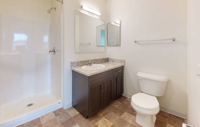 Second Bath with Walk-In Shower at The Reserve at Destination Pointe in Grimes, IA with