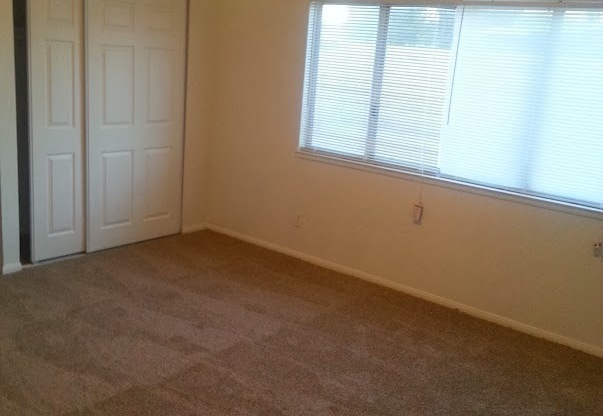 Beautiful Single Story 3 Bedroom 2 Bath Home!
