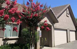 Welcome to Nees Park Villas