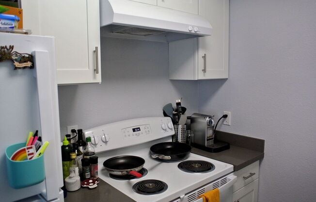 1 bed, 1 bath, 475 sqft, $1,850, Unit 203