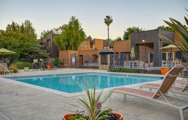 A pool surrounded by chairs and plants with a building in the background.