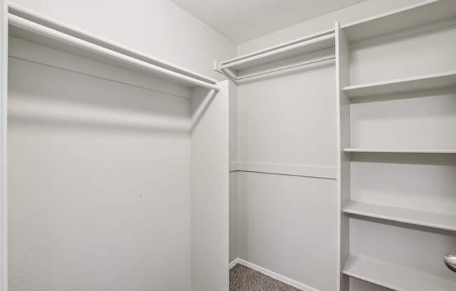 A white closet with shelves and a carpeted floor.