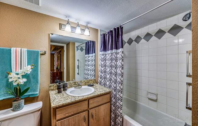 a bathroom with a sink and a toilet and a shower