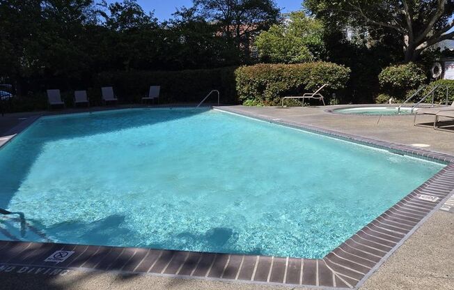 1 bed, 1 bath, $2,595, Unit Unit 502