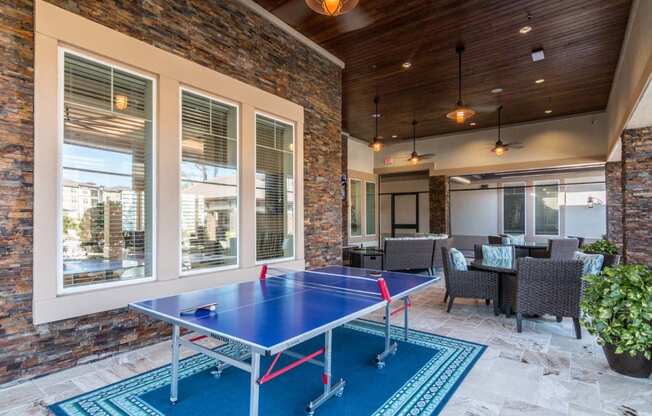 Outdoor Ping-Pong Table at The Oasis at Lake Bennet, Ocoee, FL