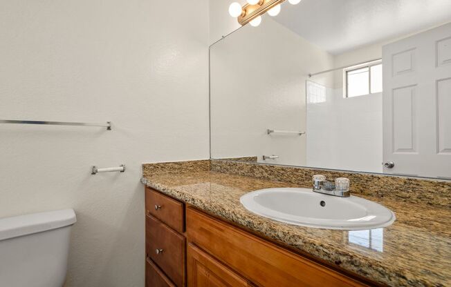 a bathroom with a sink and a toilet and a mirror