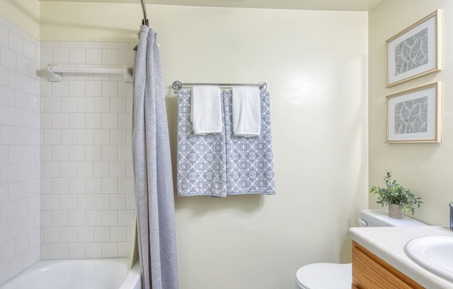 a bathroom with a shower and a sink and a toilet