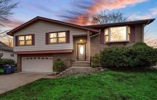 4 Bed 2.5 Bath in Des Plaines