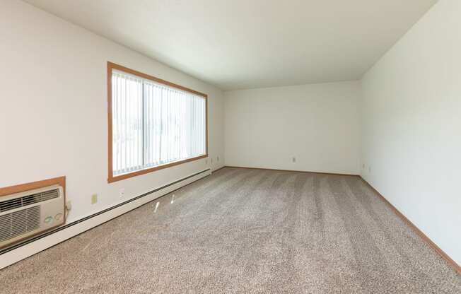 an empty living room with carpet and a large window