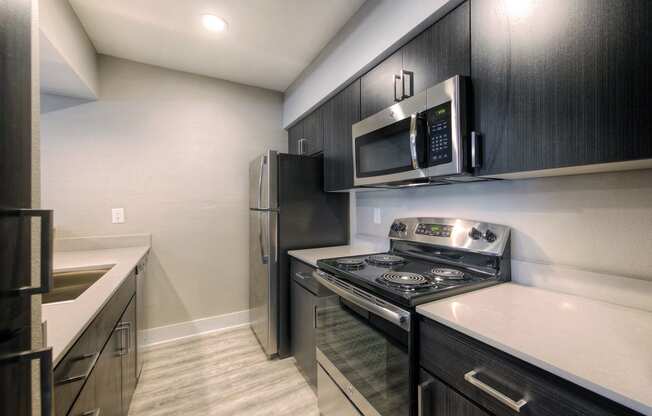 The Icon on Central Apartments in Phoenix, Arizona Kitchen
