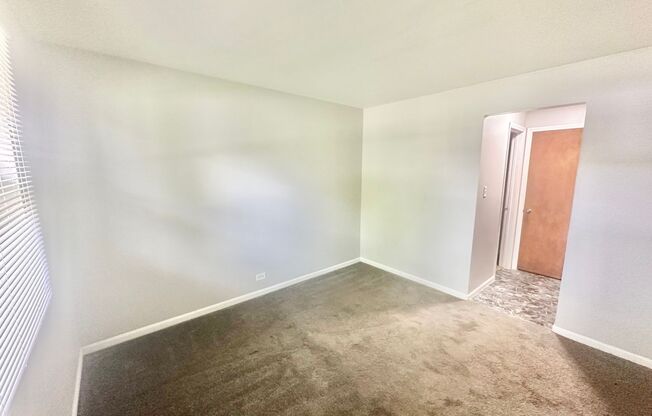 Your Oasis in Oak Forest
