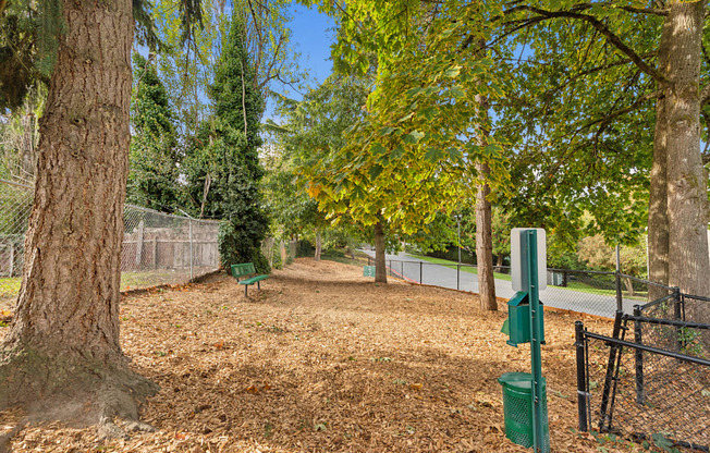 A tree with a green trunk and a green bin on the ground.