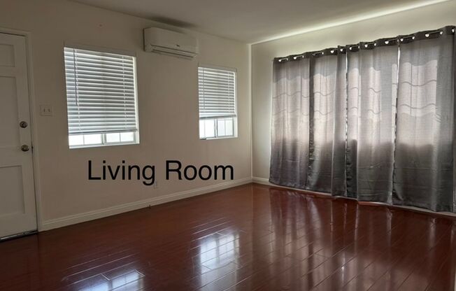 Jaguar Chan - R729-1617