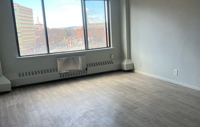 1 bed, 1 bath, 430 sqft, $1,350, Unit 917
