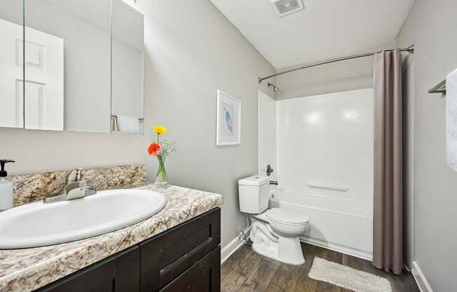 Bathroom in Marietta affordable apartment with modern vanity