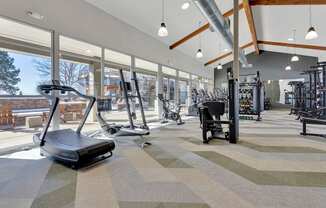 A gym with treadmills, elliptical machines, and other exercise equipment.