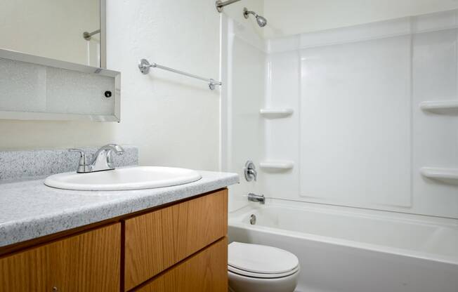 a bathroom with a sink toilet and a shower