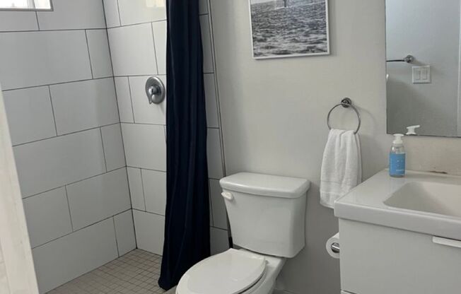 Studio, 1 bath, 282 sqft, $1,950, Unit Apt. 216