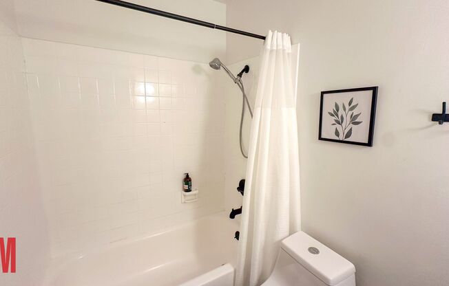 Studio, 1 bath, 500 sqft, $2,695, Unit 19