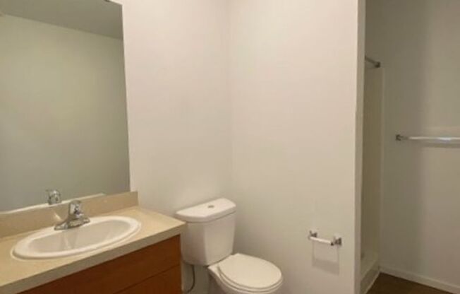 Studio, 1 bath, 175 sqft, $1,195, Unit 4517