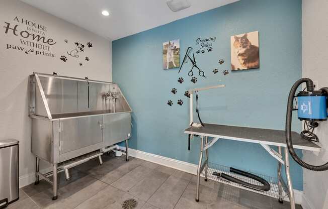 pet grooming station