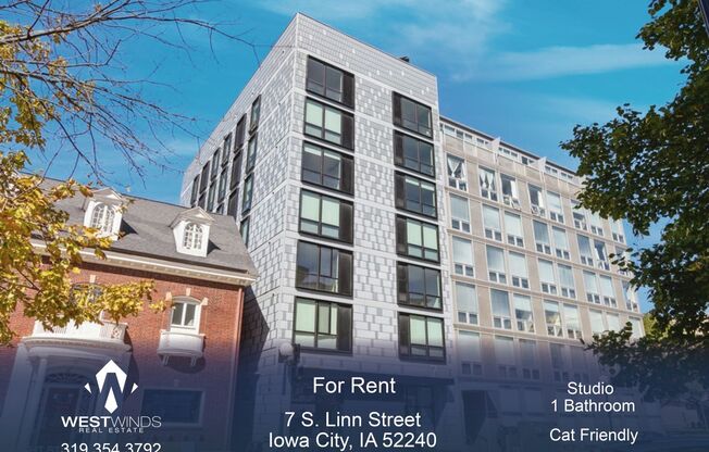 Studio, 1 bath, 266 sqft, $1,130, Unit #202