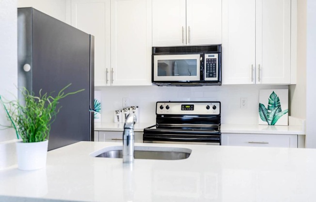 A kitchen with a black refrigerator, a black microwave, and a white countertop.
