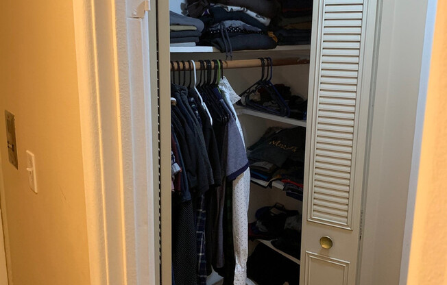Studio, 1 bath, $1,515, Unit 257