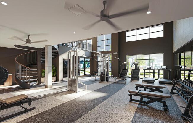 A bright, open fitness studio with cardio, strength training, and room to move.