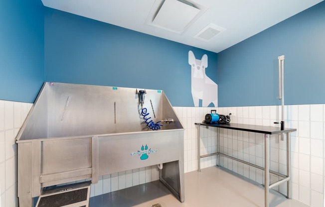 A dog grooming station with a blue wall and a white dog cutout.