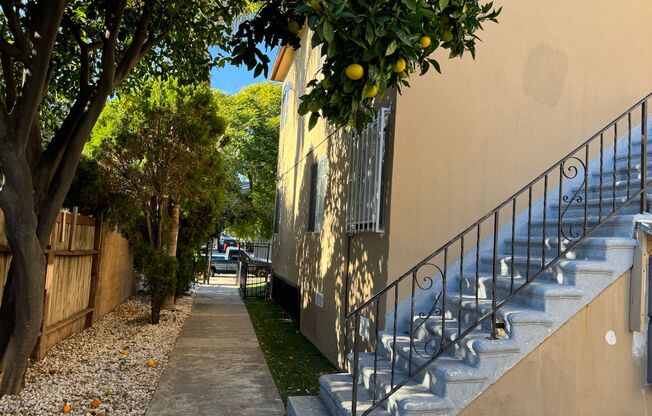 Mansfield Apartments