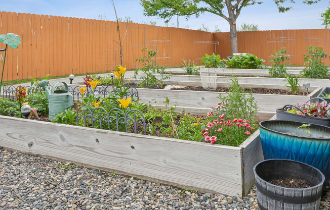 a community garden with plants and flowers in wooden boxes