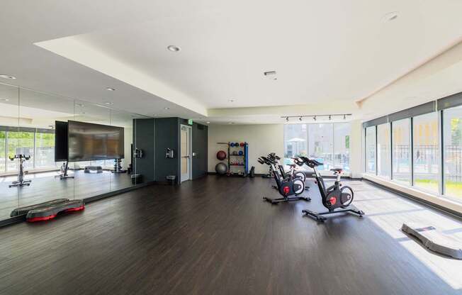 A gym with a row of stationary bikes and a row of exercise bikes.