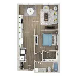 1 bed, 1 bath, 704 sqft, $1,475