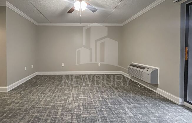 1 bed, 1 bath, 765 sqft, $1,250, Unit TH 904