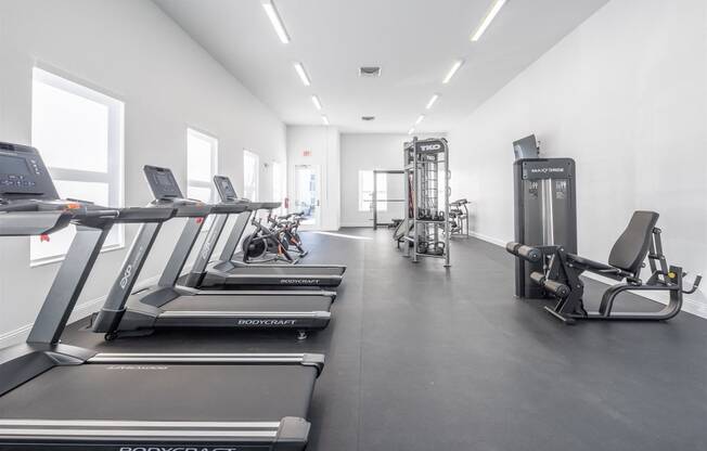 the gym is equipped with cardio equipment and weights