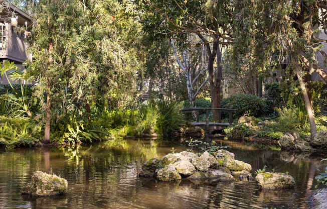 A pond with rocks in the middle surrounded by trees.