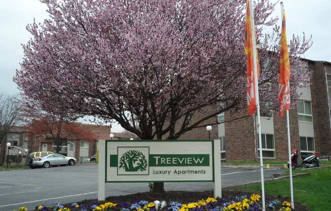 Treeview entrance