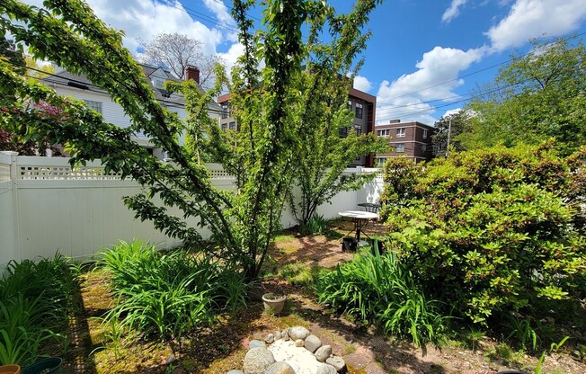 2 beds, 1 bath, 800 sqft, $2,800, Unit 3