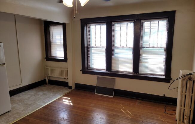 Studio, 1 bath, $775, Unit 205