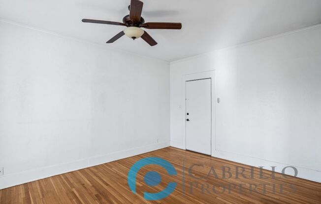 Studio, 1 bath, 341 sqft, $1,750, Unit 206